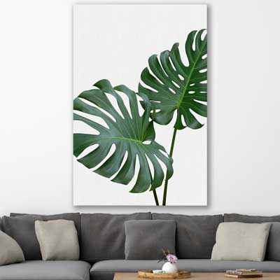 floral print of Monstera Leaf One