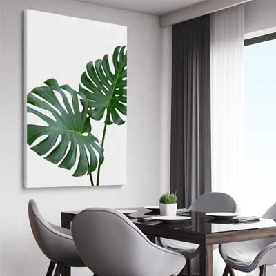 Monstera Leaf One