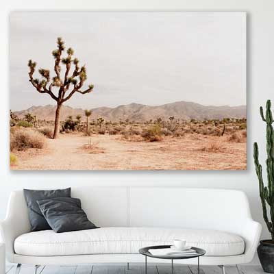 floral print of Joshua Tree