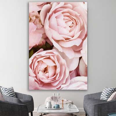 floral print of Peony Pastel